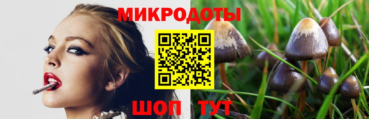 Псилоцибиновые грибы мухоморы  Галлюциногенные грибы GOLDEN TEACHER  Вход с VPN  Междуреченск 